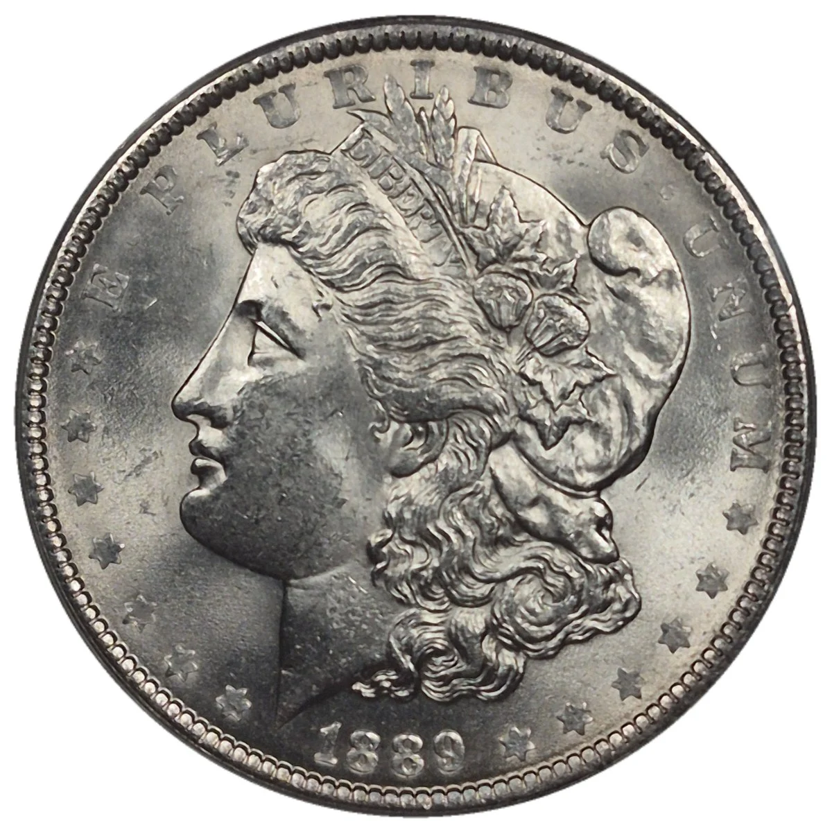 1889-$1-Morgan-Dollar-#15---TPG-33-Of-40